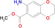 7-Amino-2,3-dihydro-benzo[1,4]dioxine-6-carboxylic acid methyl ester