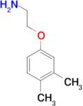 2-(3,4-Dimethyl-phenoxy)-ethylamine
