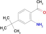 1-(2-Amino-4- tert -butyl-phenyl)-ethanone