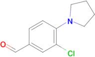 3-Chloro-4-pyrrolidin-1-yl-benzaldehyde