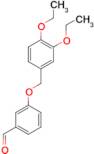 3-(3,4-Diethoxy-benzyloxy)-benzaldehyde