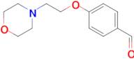 4-(2-Morpholin-4-yl-ethoxy)-benzaldehyde