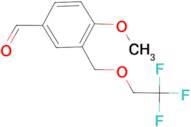 4-Methoxy-3-(2,2,2-trifluoro-ethoxymethyl)-benzaldehyde