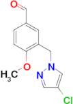 3-(4-Chloro-pyrazol-1-ylmethyl)-4-methoxy-benzaldehyde