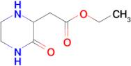 (3-Oxo-piperazin-2-yl)-acetic acid ethyl ester
