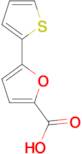 5-Thiophen-2-yl-furan-2-carboxylic acid