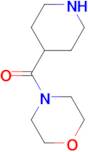 Morpholin-4-yl-piperidin-4-yl-methanone