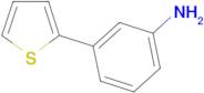 3-Thiophen-2-yl-phenylamine