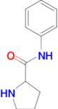 Pyrrolidine-2-carboxylic acid phenylamide