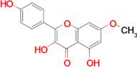 3,5-Dihydroxy-2-(4-hydroxy-phenyl)-7-methoxy-chromen-4-one