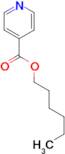 Isonicotinic acid hexyl ester