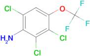 2,3,6-Trichloro-4-trifluoromethoxy-phenylamine