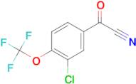 (3-Chloro-4-trifluoromethoxy-phenyl)-oxo-acetonitrile
