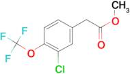 3-Chloro-4-(trifluoromethoxy)-phenylacetic acidmethyl ester