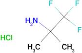 2,2,2-Trifluoro-1,1-dimethyl-ethylamine hydrochloride