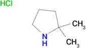 2,2-Dimethylpyrrolidine hydrochloride