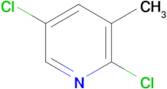 2,5-Dichloro-3-methylpyridine
