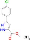 Ethyl 3-(4-Chlorophenyl)-1H-pyrazole-5-carboxylate