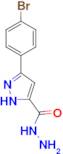 3-(4-Bromophenyl)-1H-pyrazole-5-carboxylic acidhydrazide