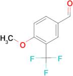 4-Methoxy-3-(trifluoromethyl)benzaldehyde