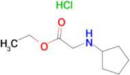 N-Cyclopentyl-amino-acetic acid ethyl ester hydrochloride