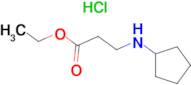 3-Cyclopentylamino-propionic acid ethyl esterhydrochloride