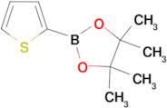2-(Thiopheneboronic acid)pinacol ester