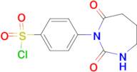 4-(2,7-Dioxo-[1,3]Diazepan-1-yl)benzenesulfonylchloride