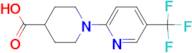 1-[5-(Trifluoromethyl)pyridin-2-yl]piperidine-4-carboxylic acid
