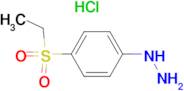 [4-(Ethylsulfonyl)phenyl]hydrazine hydrochloride