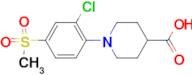 1-[2-Chloro-4-(methylsulfonyl)phenyl]piperidine-4-carboxylic acid