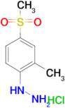 1-(2-Methyl-4-methylsulfonyl)phenylhydrazinehydrochloride