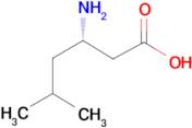 (S)-3-Amino-5-methyl-hexanoic acid
