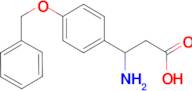 DL-ß-(p-Benzyloxyphenyl)alanine