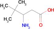 DL-3-t-Butyl-ß-alanine