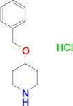 4-Benzyloxy-piperidine hydrochloride