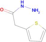 Thiophene-2-acetyl hydrazide