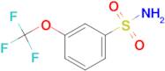 3-Trifluoromethoxybenzenesulfonamide