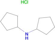 Dicyclopentyl-amine hydrochloride