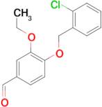 4-(2-Chlorobenzyloxy)-3-ethoxybenzaldehyde