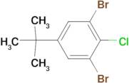 4-Chloro-3,5-dibromo-tert-butylbenzene