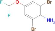 2,6-Dibromo-4-(difluoromethoxy)aniline