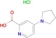 4-(Pyrrolidin-1-yl)picolinic acid hydrochloride