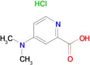 4-Dimethylaminopyridine-2-carboxylic acidhydrochloride