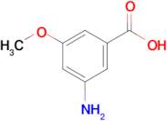 3-Amino-5-methoxybenzoic acid