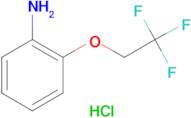 2-(2,2,2-Trifluoroethoxy)phenylamine hydrochloride