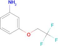 3-(2,2,2-Trifluoroethoxy)phenylamine