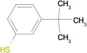 3-tert-Butylthiophenol