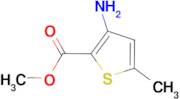 Methyl 3-Amino-5-methylthiophene-2-carboxylate