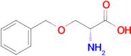 O-Benzyl-D-Serine